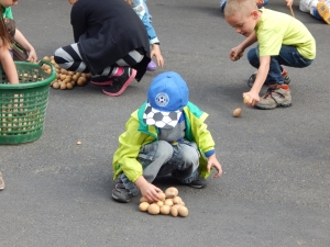 Kartoffelturmwettbauen